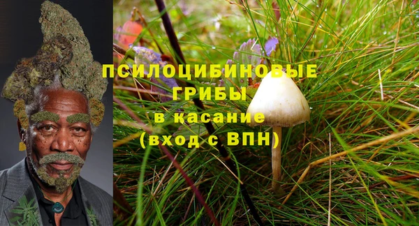 эйфоретик Белокуриха